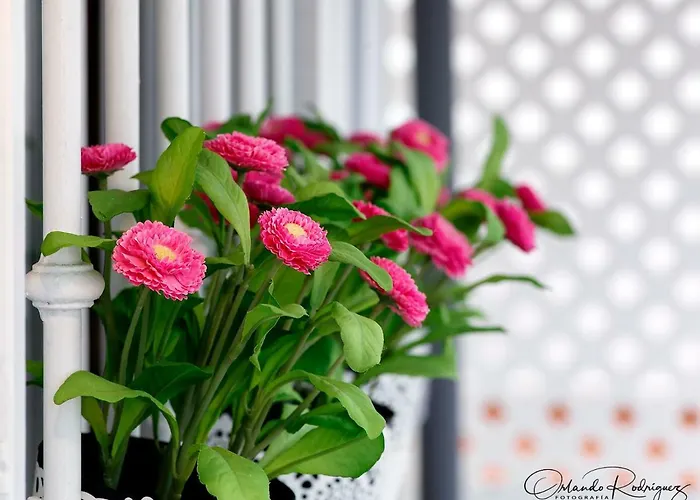 Beauty Attic Terrace Old Town - Vegueta * 라스팔마스