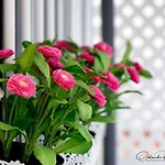 Beauty Attic Terrace Old Town - Vegueta * Las Palmas