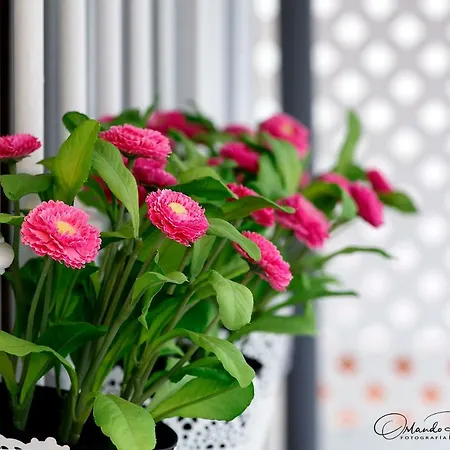 Beauty Attic Terrace Old Town - Vegueta * Лас-Пальмас-де-Гран-Канария